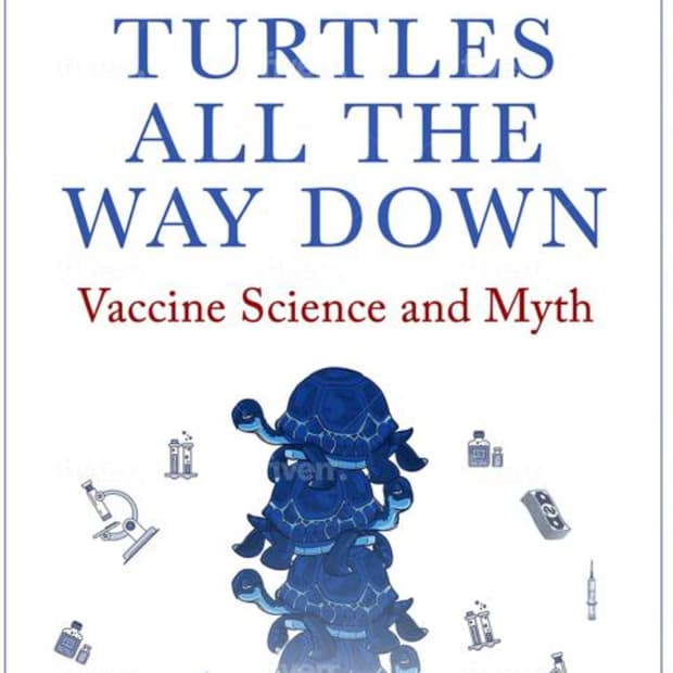 Turtles All The Way Down: A Journey Through Mental Illness