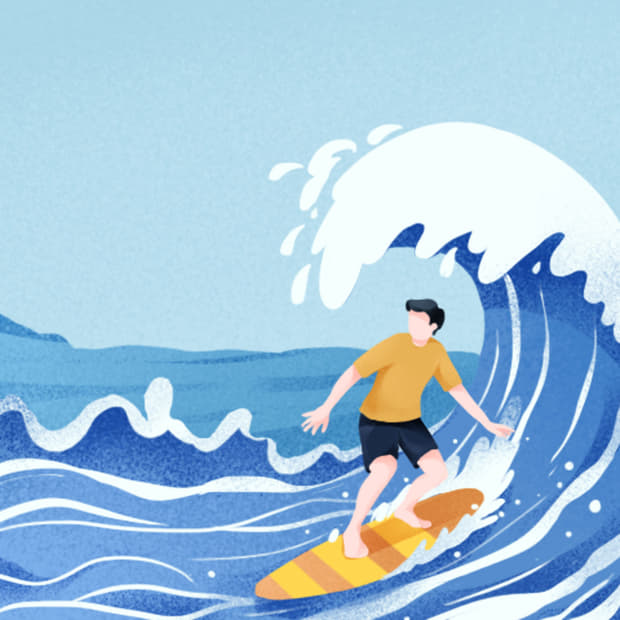 Riding the Waves of Change: Lessons from Let My People Go Surfing