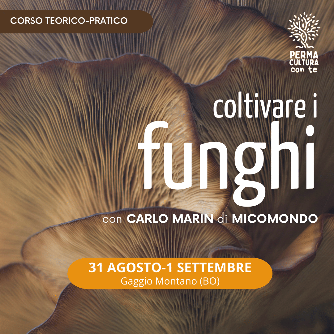 Coltivare i funghi — con Carlo Marin,  31 agosto - 1 settembre 2024