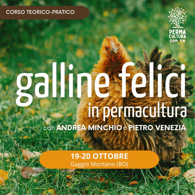 Galline felici in permacultura — progetta il tuo pollaio per galline e persone felici, 19-20 ottobre 2024