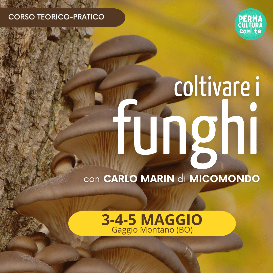 Coltivare i funghi - con Carlo Marin