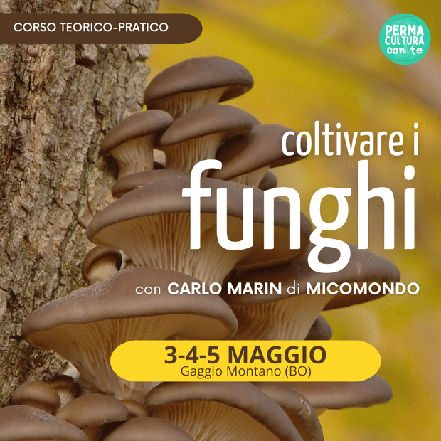 Coltivare i funghi - con Carlo Marin
