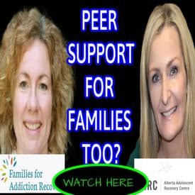 265 - PEER SUPPORT FOR THE FAMILY TOO?