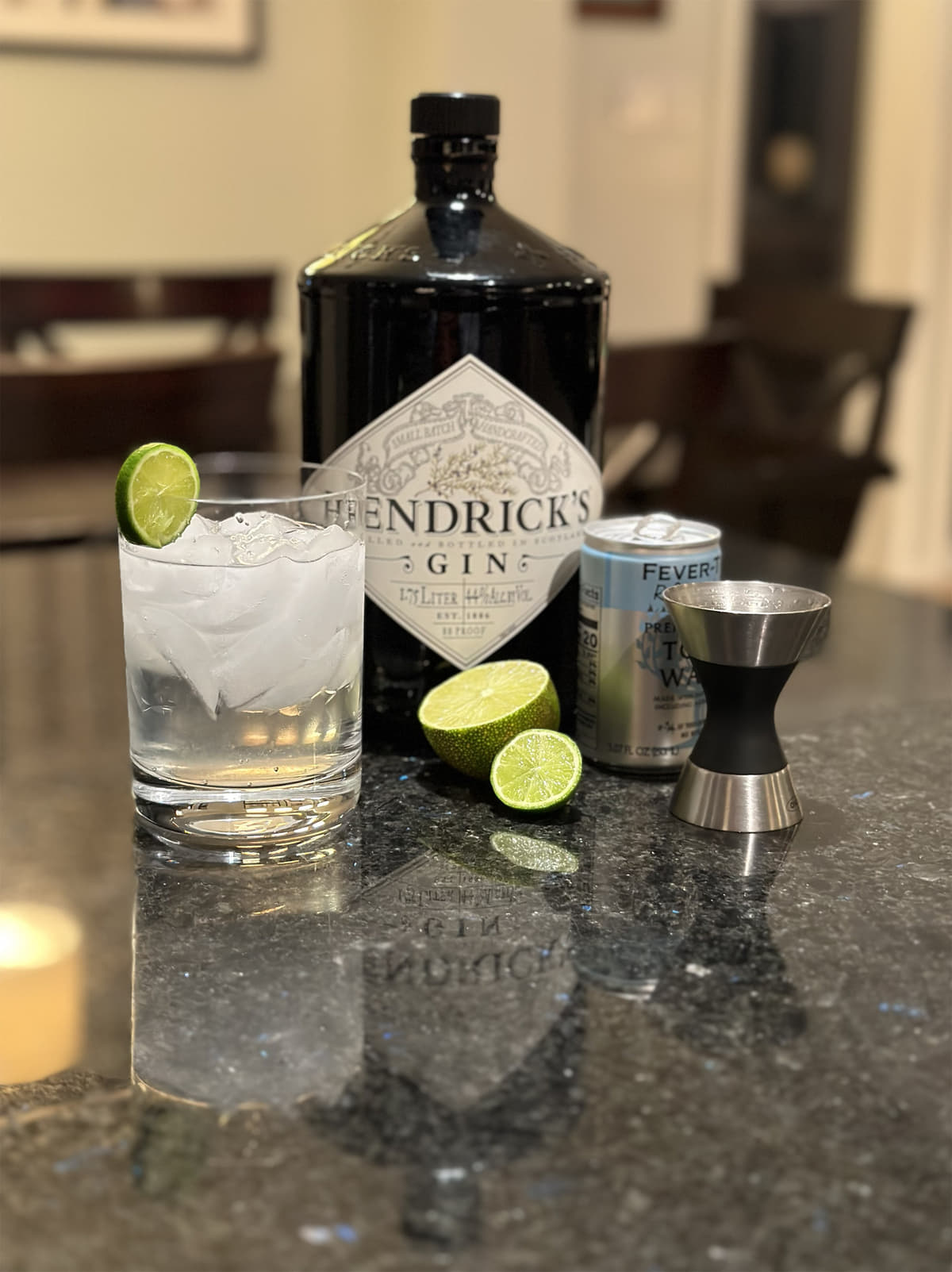 Classic Gin and Tonic