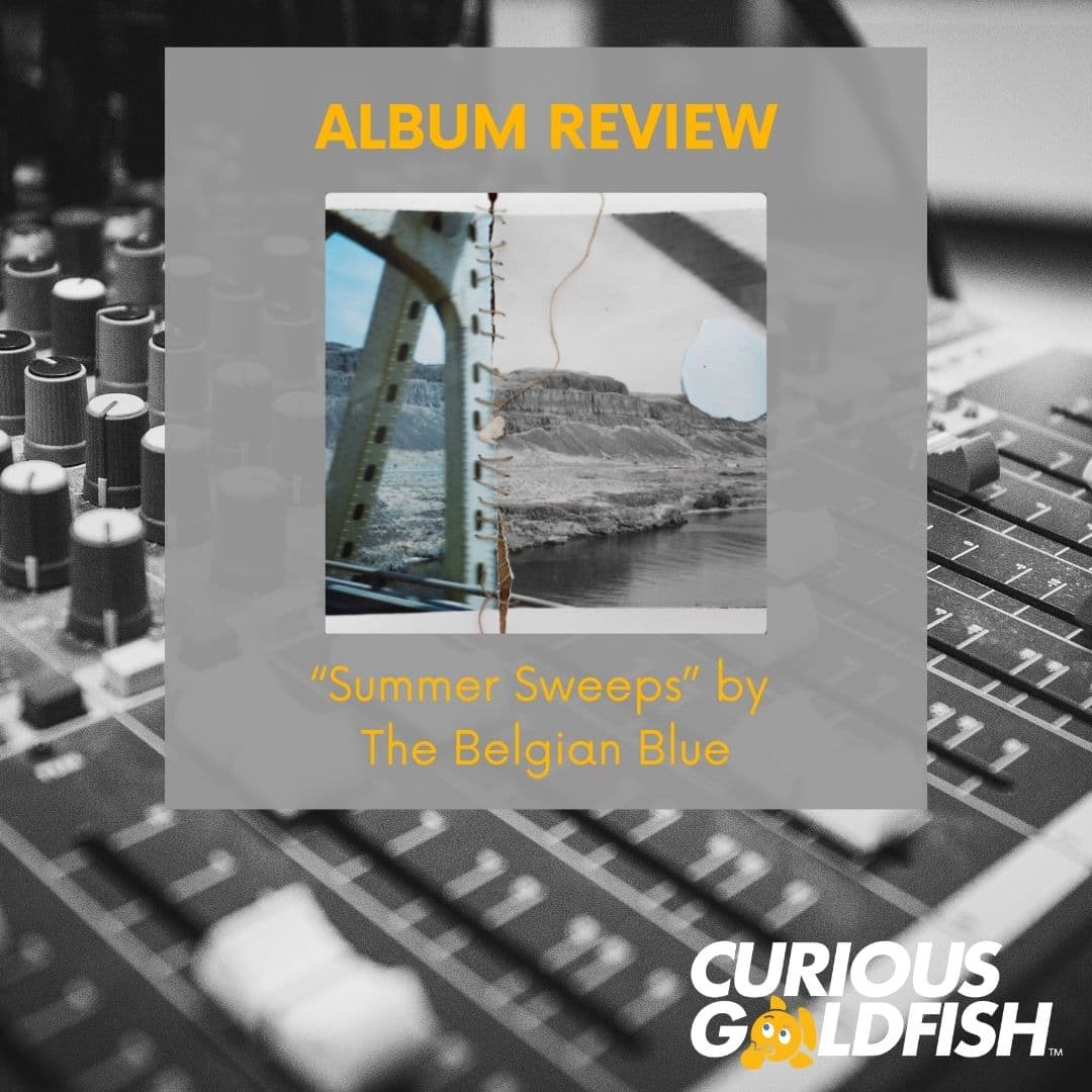 Summer Sweeps: The Belgian Blue's Poignant Postcard from a World Away