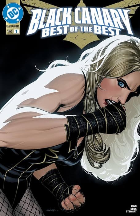 An interview with comics writer Tom King about his DC Comics series Black Canary Best of the Best