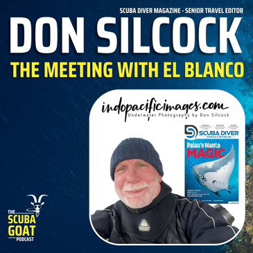 Don Silcock - Senior Travel Editor meets El Blanco the Southern Right Whale