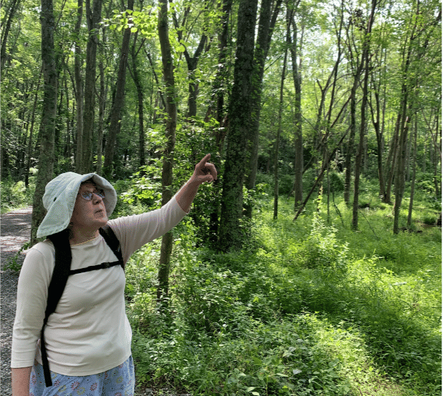 Recap: Virginia & D.C.