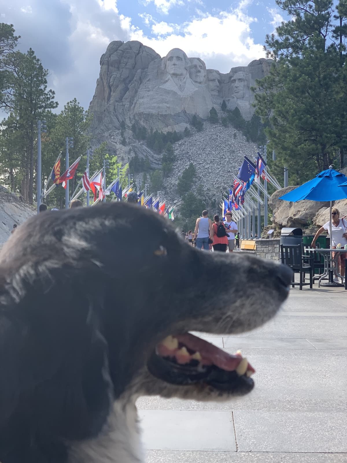 Recap: The Journey Home