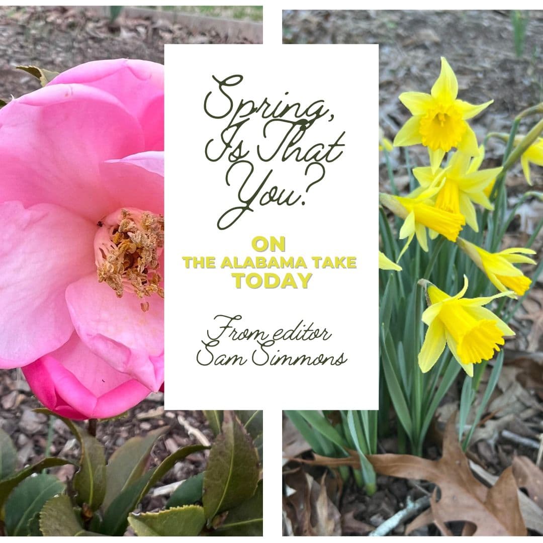 Spring, Is That You? 