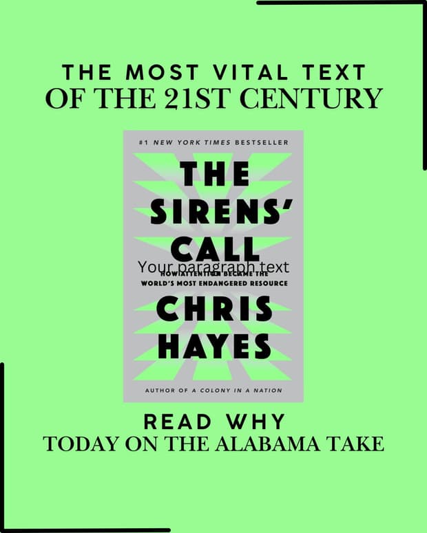 'The Sirens' Call: How Attention Became the World's Most Endangered Resource' | Review