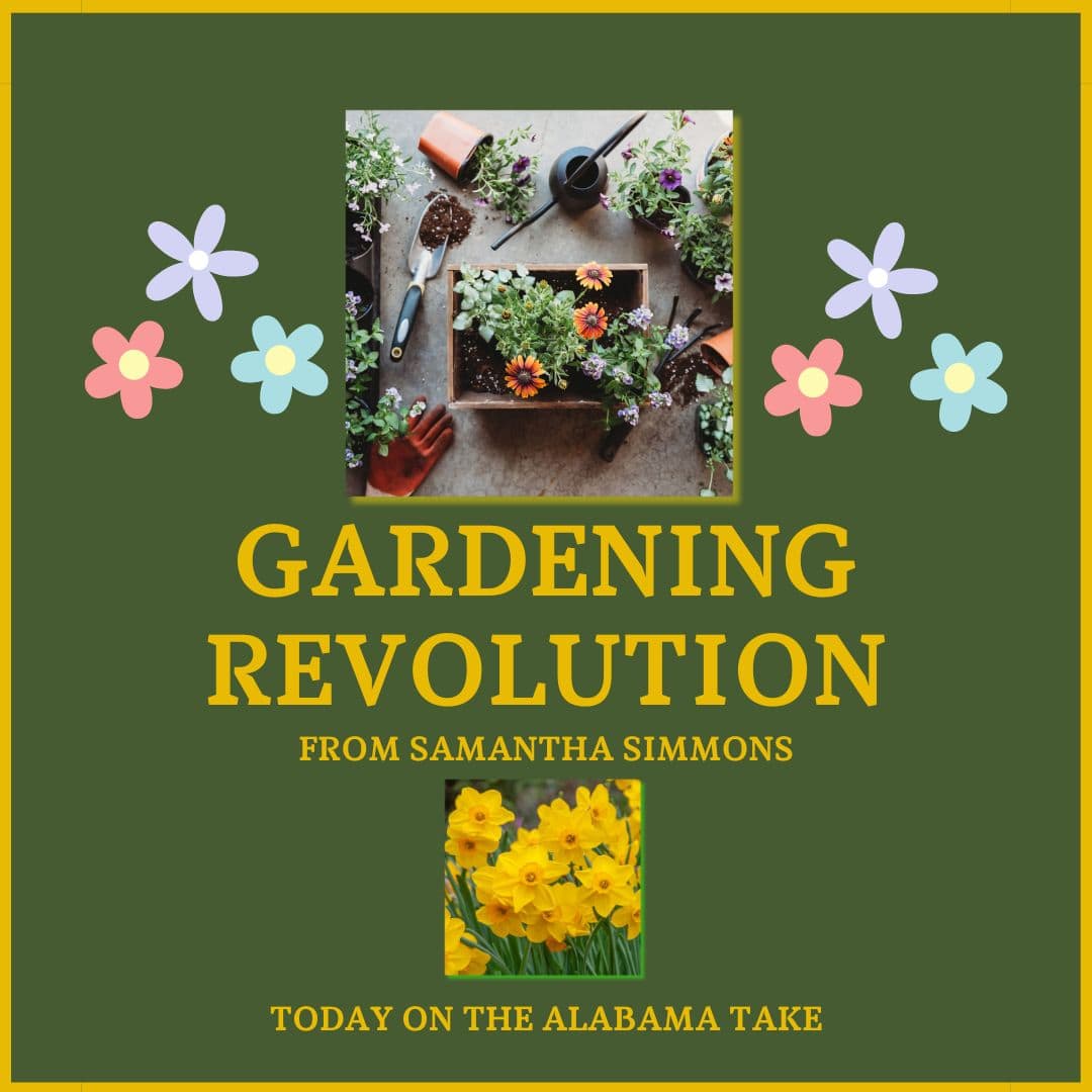 Gardening in the Spring (and Fall [of an Empire])