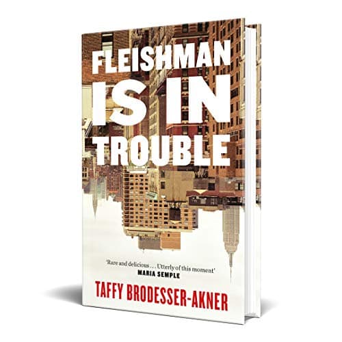 Fleishman Is In Trouble: A Review