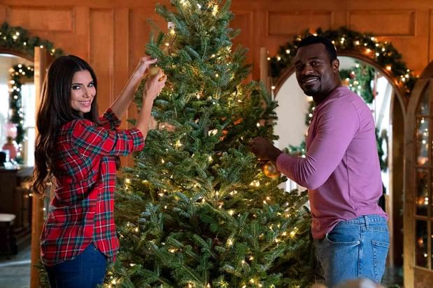 A College Football Hallmark Christmas Movie: A Christmas Transfer Portal