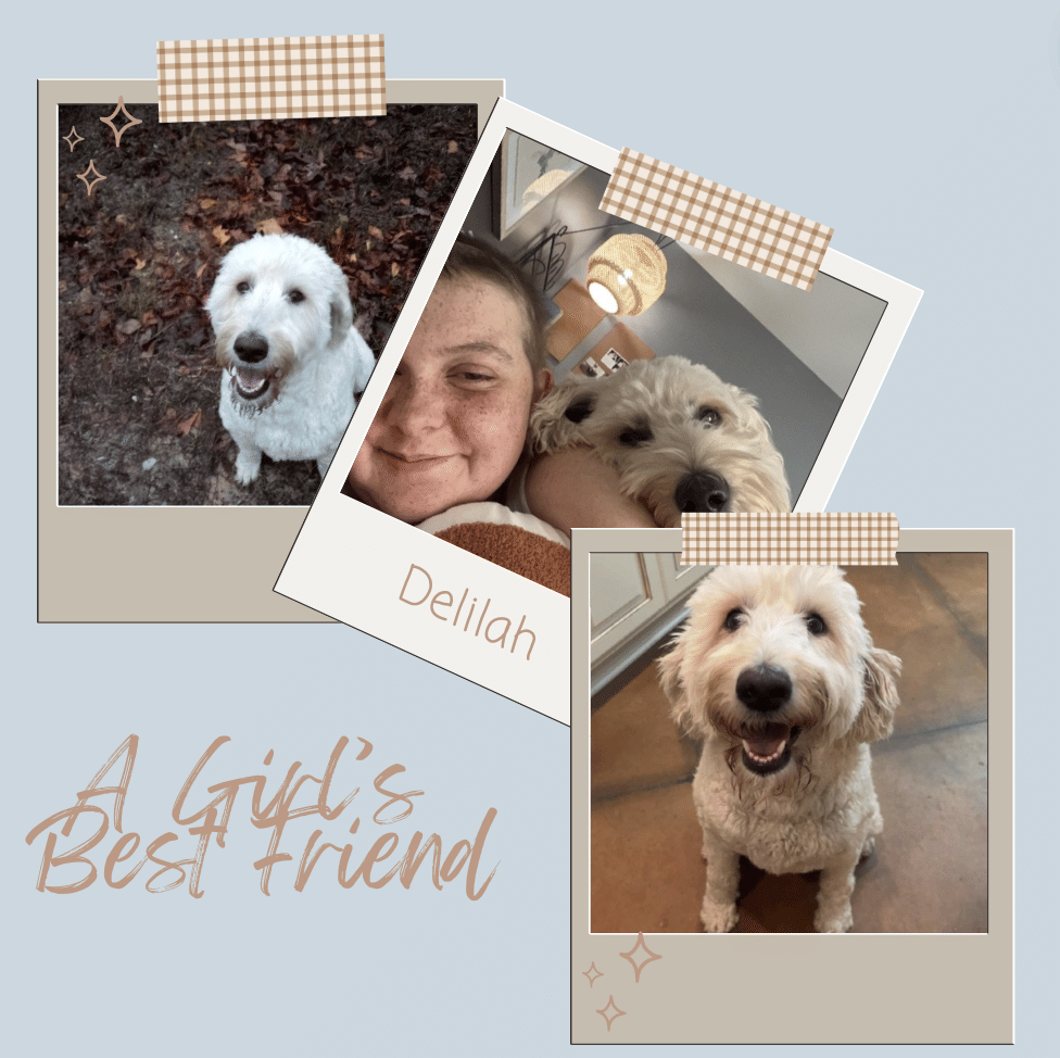 Ren's Reads (and More) | A Girl's Best Friend