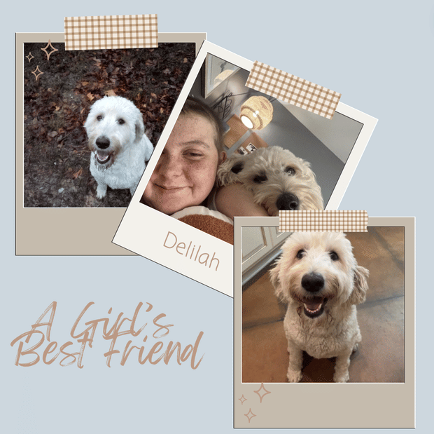 Ren's Reads (and More) | A Girl's Best Friend