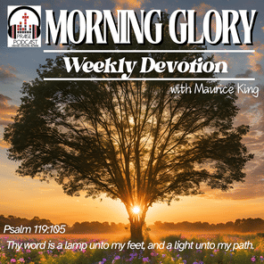 Morning Glory - Daily Devotion
