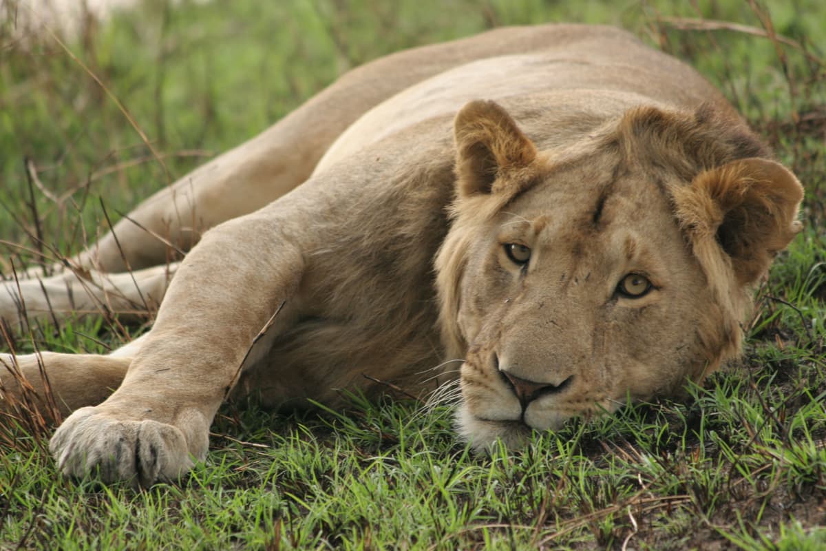 Listen Here - A Re-Start