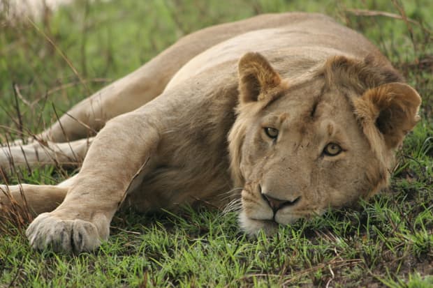 Listen Here - A Re-Start