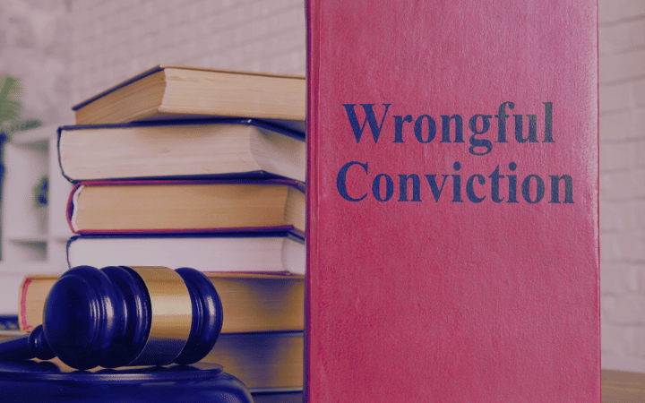Unraveling the 'Serial Effect': Shedding Light on Wrongful Convictions