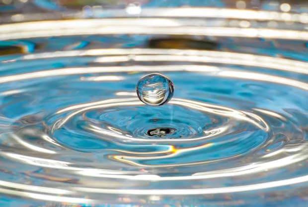 Tiny Actions Of Faithfulness That Changed The World