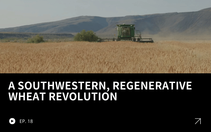 ReGen Brands Recap #18