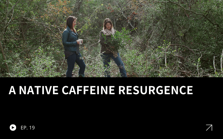 ReGen Brands Recap #19