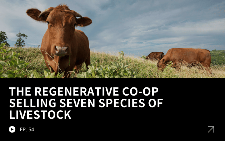 ReGen Brands Recap #54