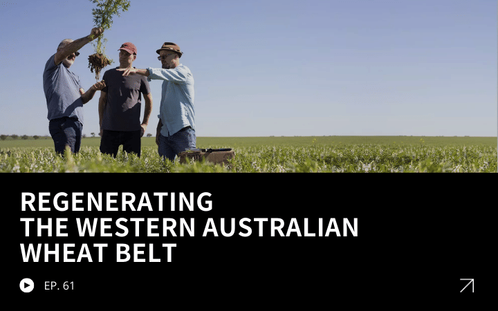 ReGen Brands Recap #61 