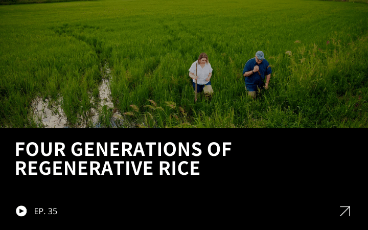 ReGen Brands Recap #35