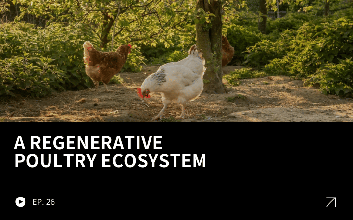 ReGen Brands Recap #26