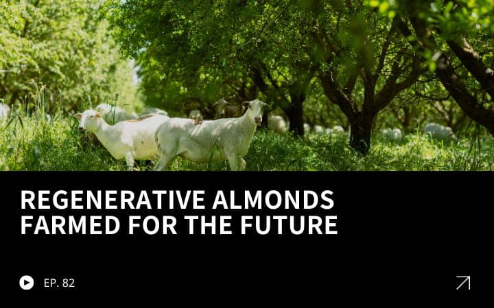 ReGen Brands Recap #82 