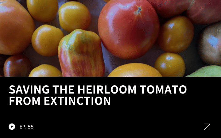 ReGen Brands Recap #55