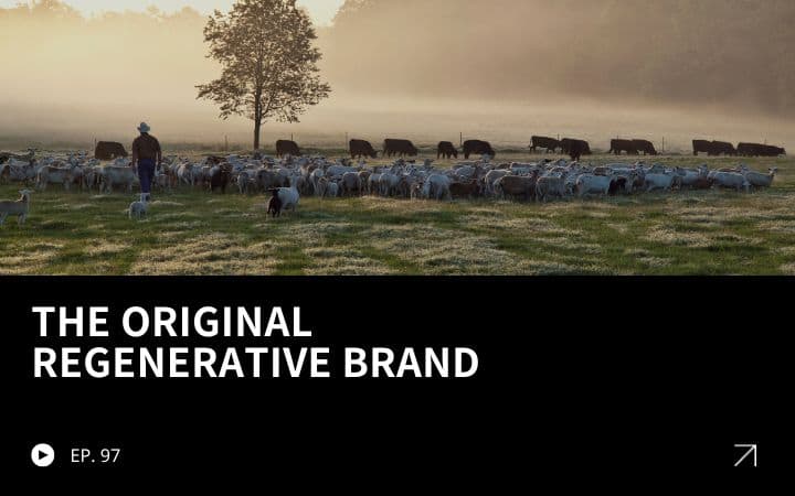 ReGen Brands Recap #97