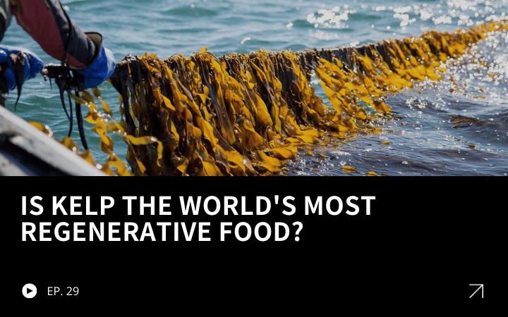 ReGen Brands Recap #29