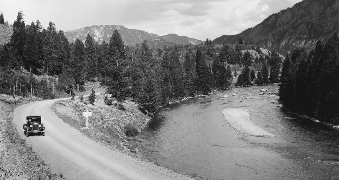 photo of model T on road in forest