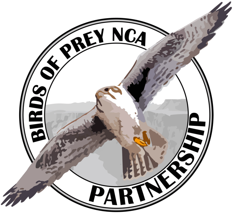 birds of prey partnership logo