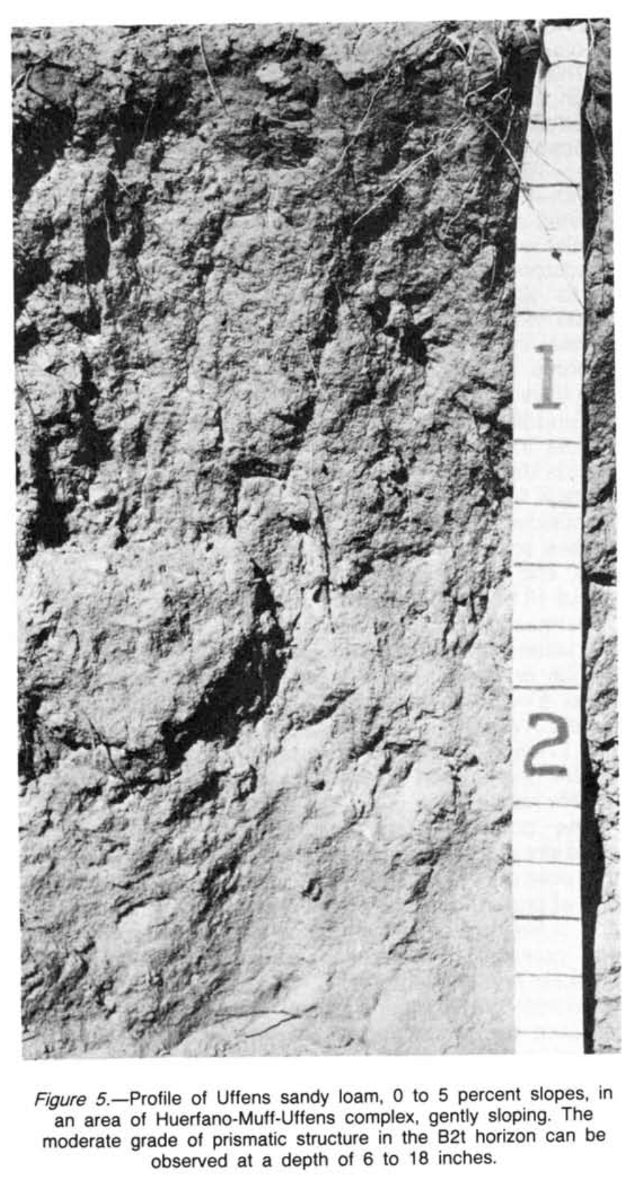 Episode 1- Cultivators: Soil