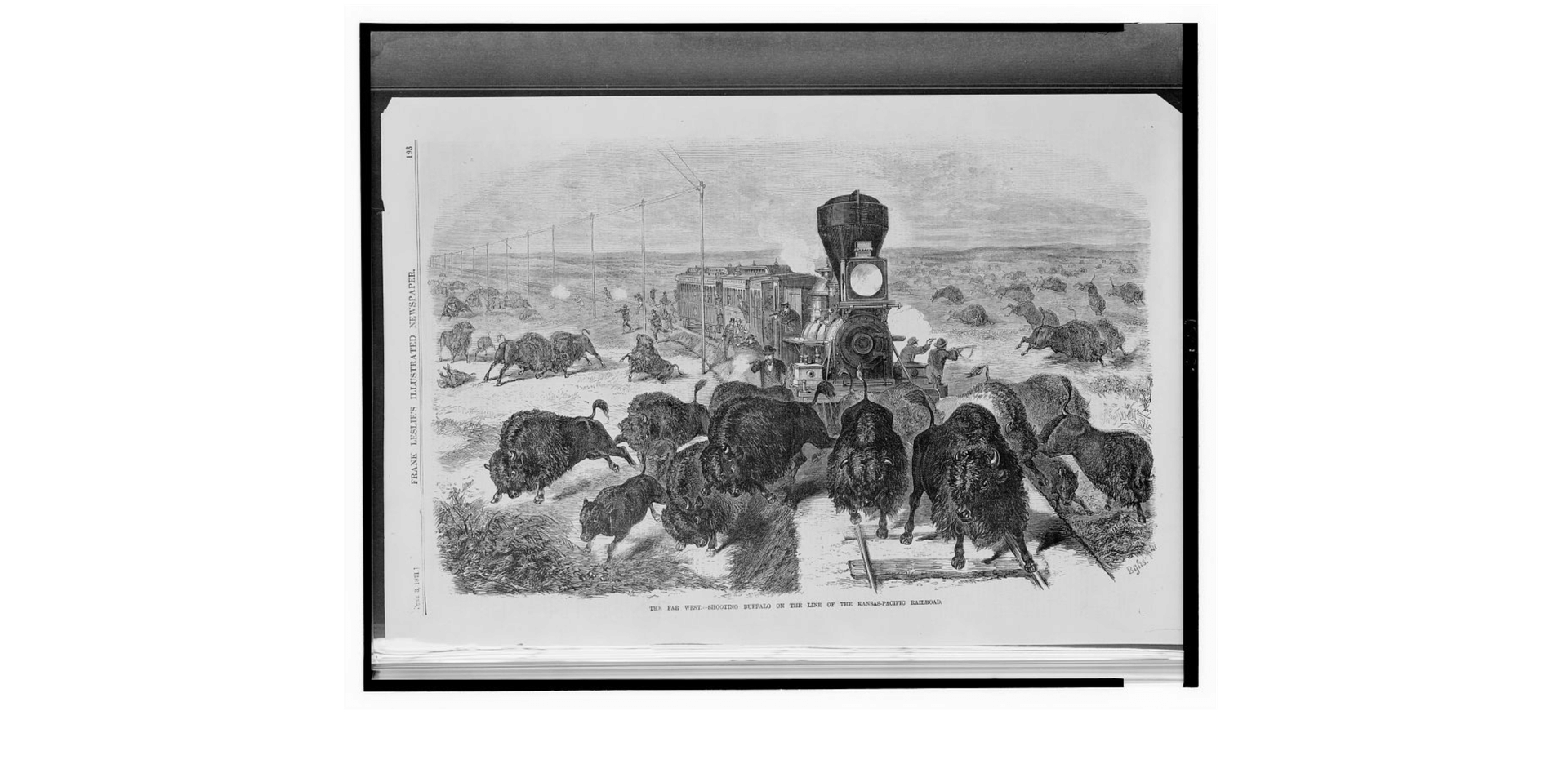 Painting of buffalo and train