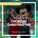 Post-Trip Report: Celeste’s Crowded Christmas Trip (December 2024)