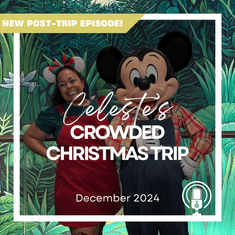 Post-Trip Report: Celeste’s Crowded Christmas Trip (December 2024)