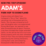 Pre-Trip Report: Adam’s Park Hop to Disneyland (March 2024)