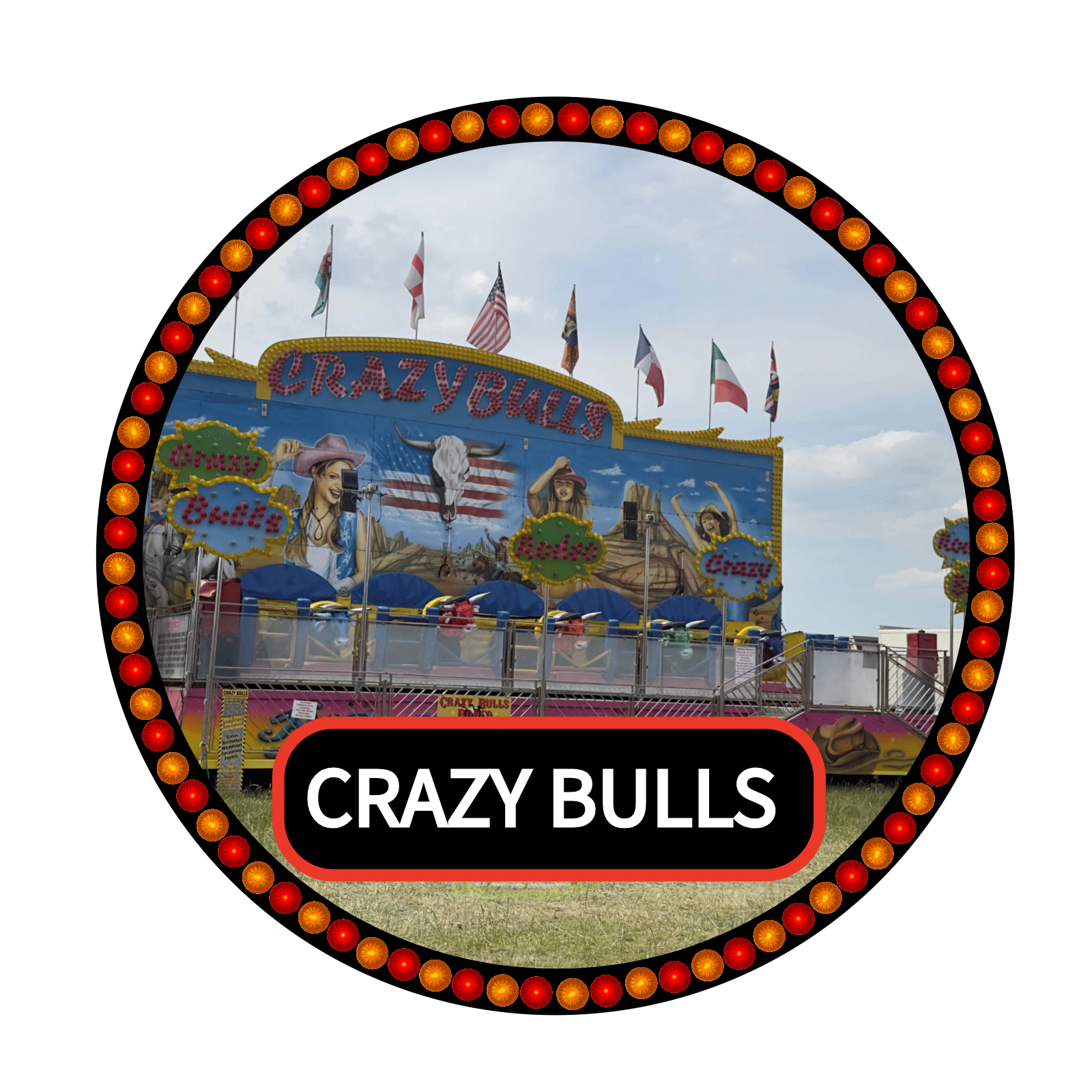 click to view crazy bulls page