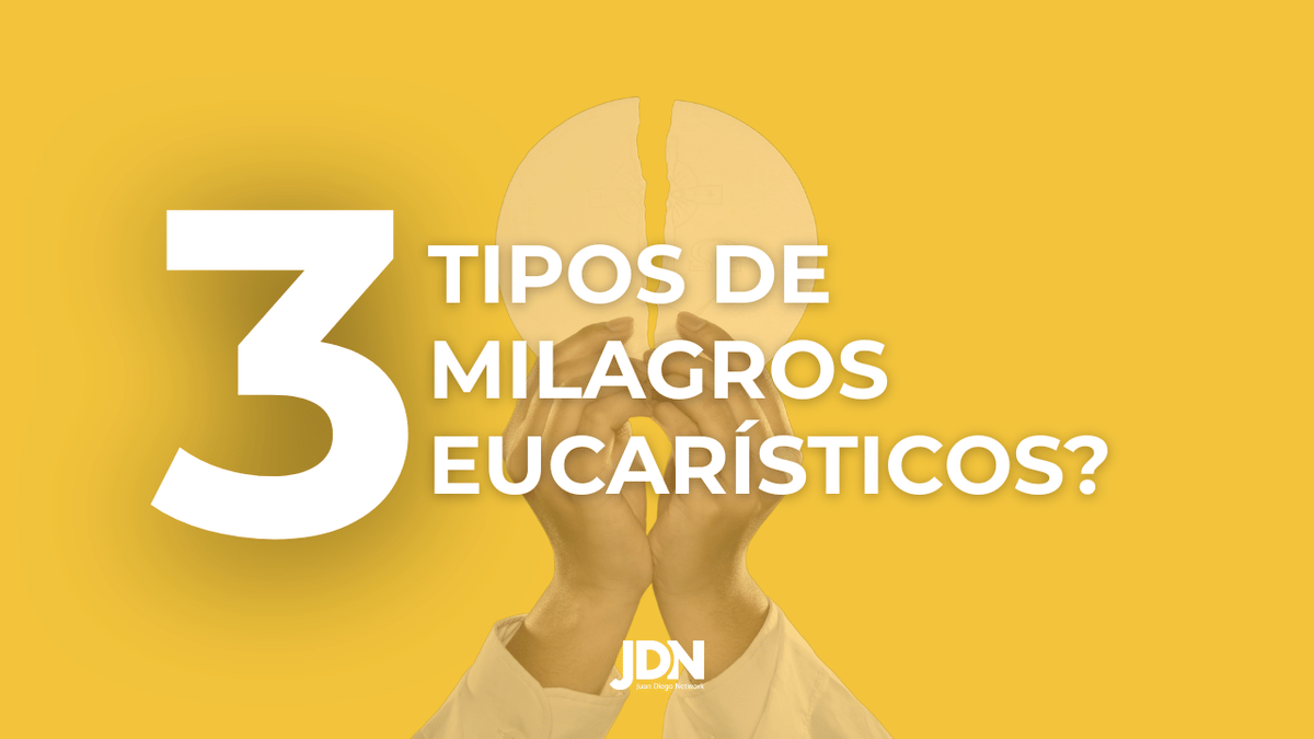 ¿Qué harías si vieras una hostia sangrar? ¿O si un laboratorio confirmara que lo que parecía pan… era en realidad tejido humano, vivo y palpitante? Corpus Christi
