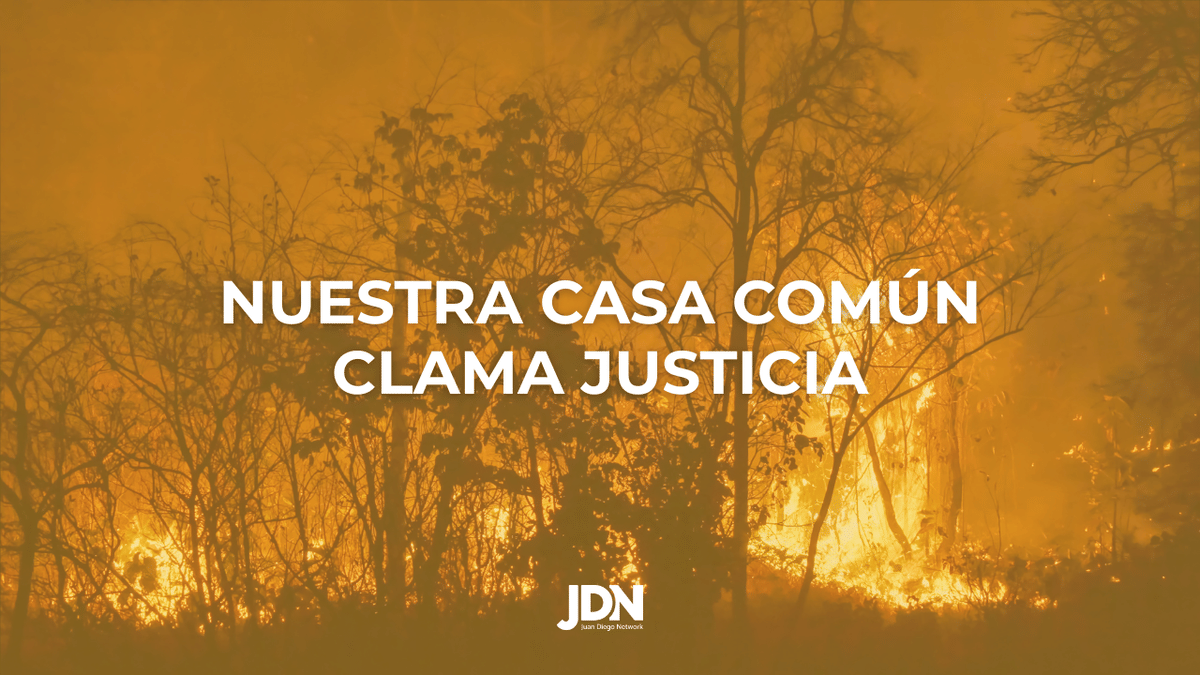 Nuestra Casa Común Clama Justicia: El Deber Cristiano de No Ser Indiferentes 
