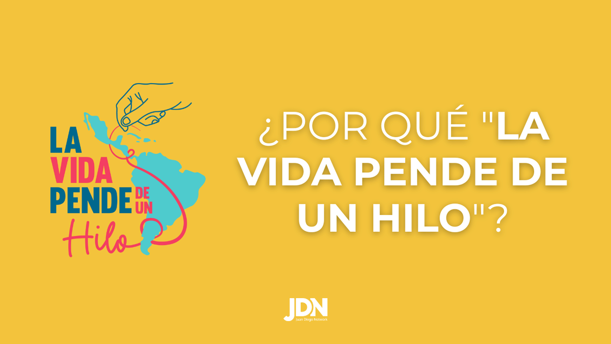 ¿Por qué "La Vida Pende de un Hilo"? Nuestra Misión Editorial, como Juan Diego Network. 