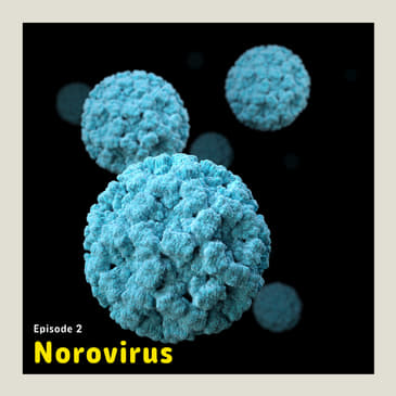 Norovirus