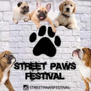 Street Paws Festivals Video Vlogs