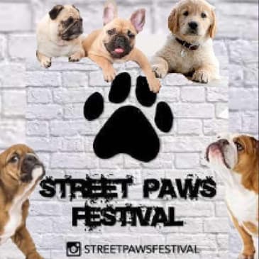 Street Paws Festivals Video Vlogs