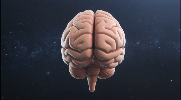 Meeting Tomorrow With Today's Strength